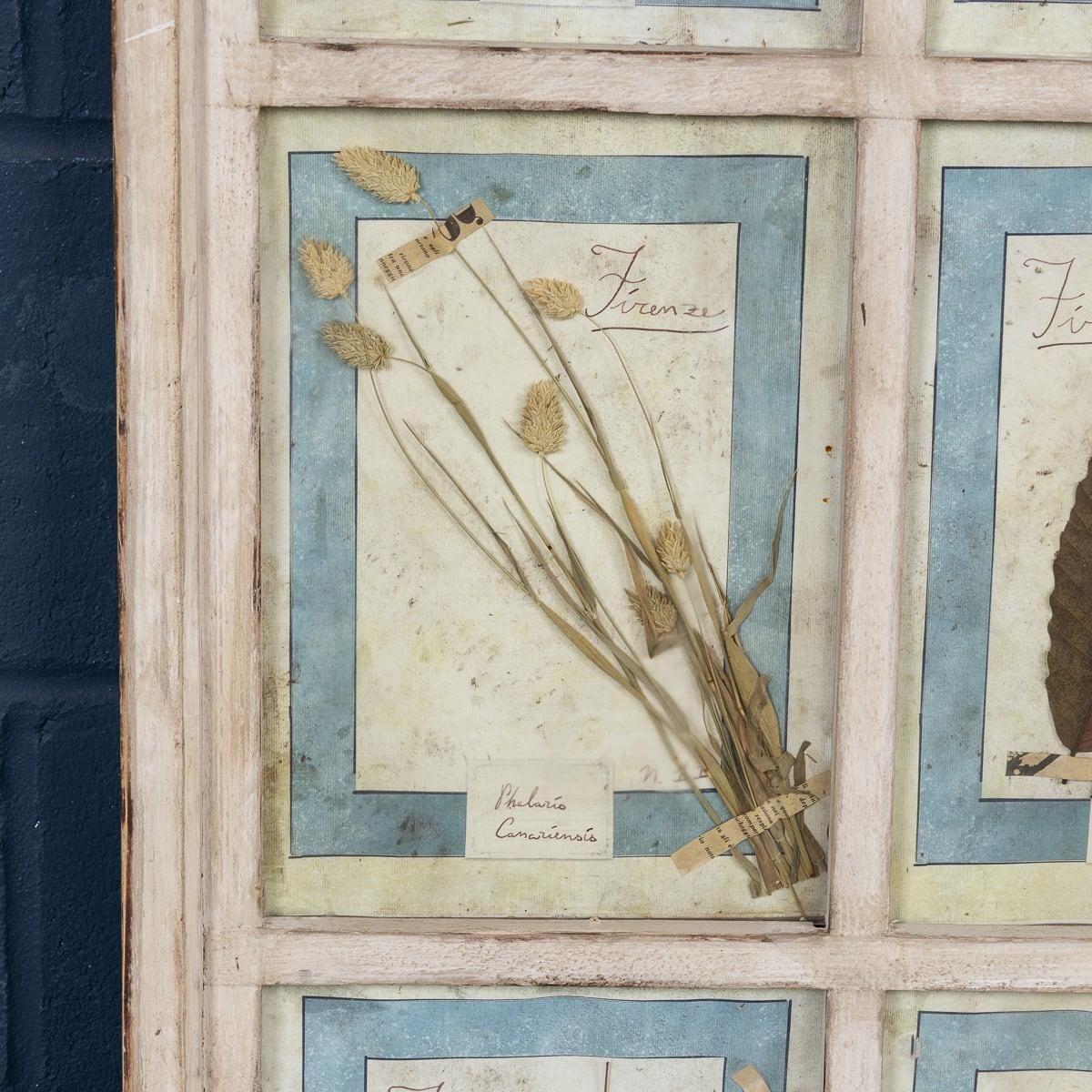 photo furniture 20th Century Italian Large Oak Frame Containing Pressed Flowers & Herbs