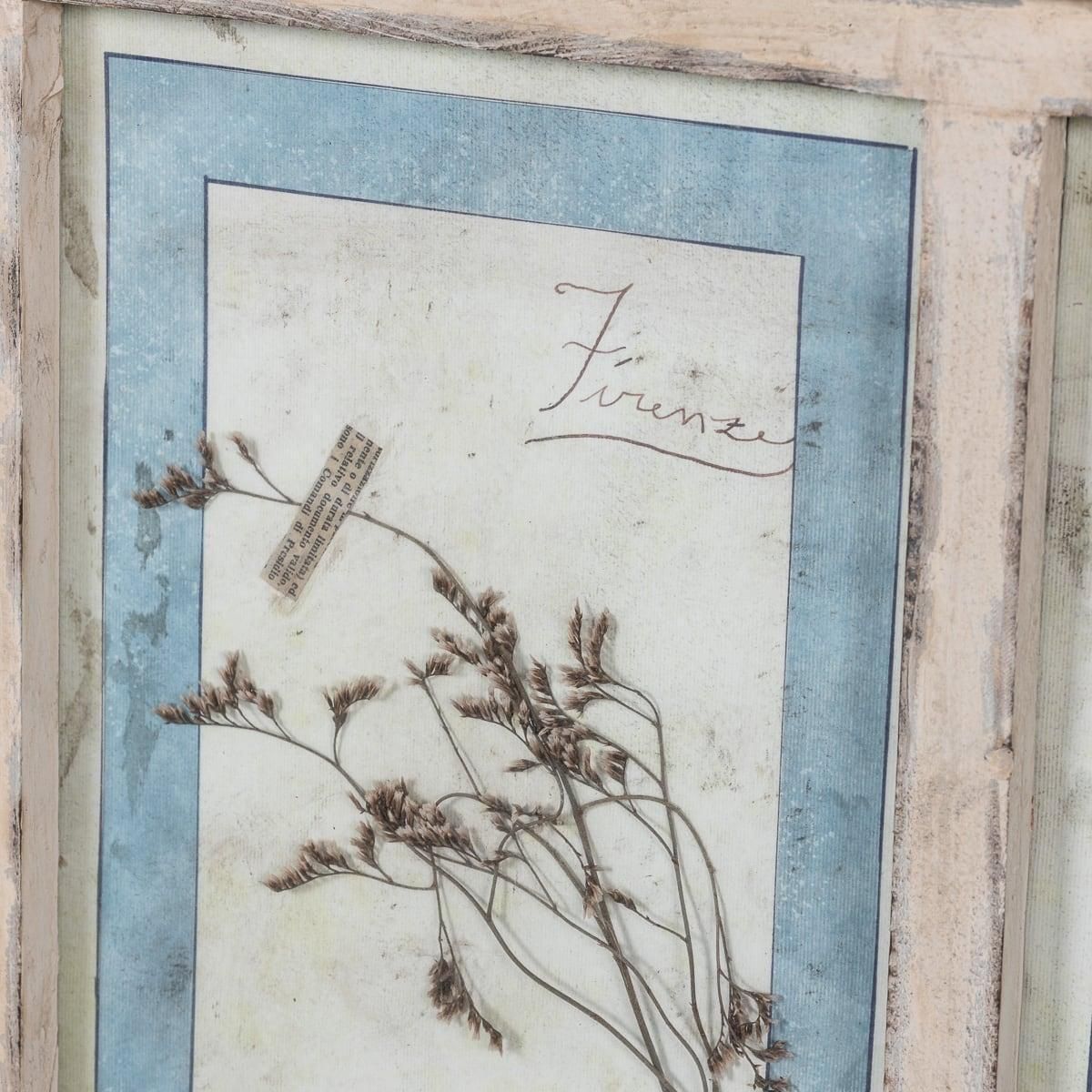 photo vinterior 20th Century Italian Large Oak Frame Containing Pressed Flowers & Herbs