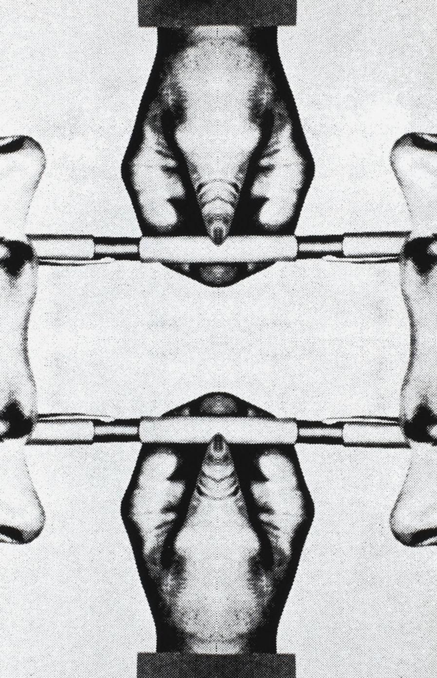1974 "Paralèlle" Screenprint By Roman Cieslewicz