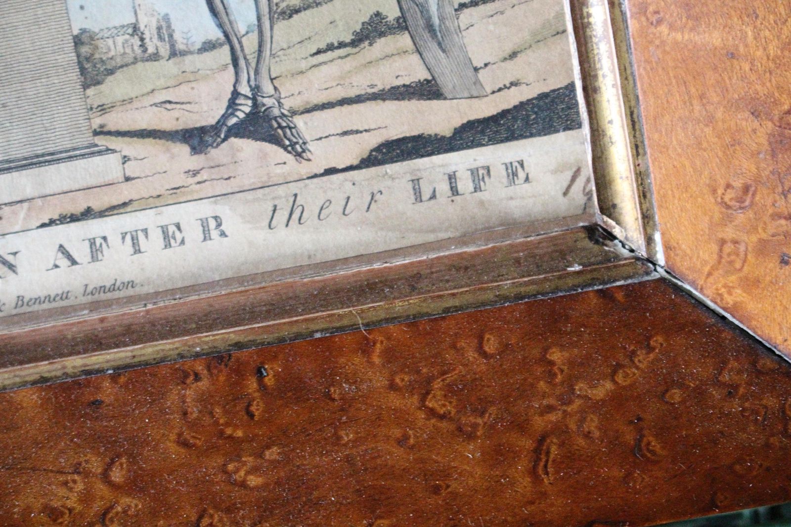 Early 19th C Hand Coloured Satire Etching Macaronies Drawn After The Life Curio photo vinterior