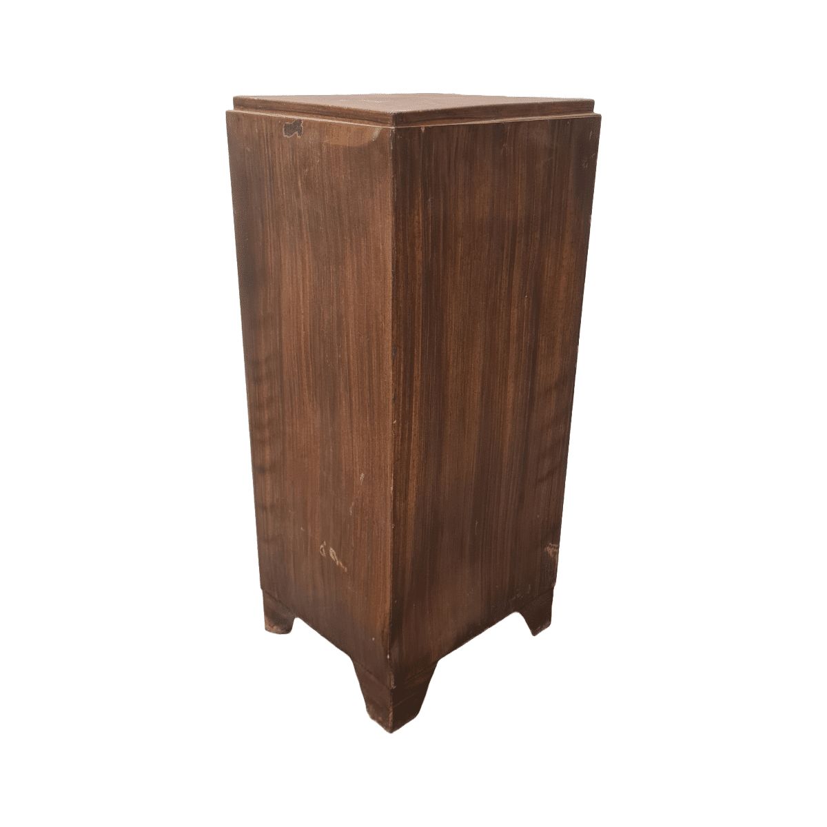 French Faux Bois Metal Cabinet, Early 1900s photo vintage