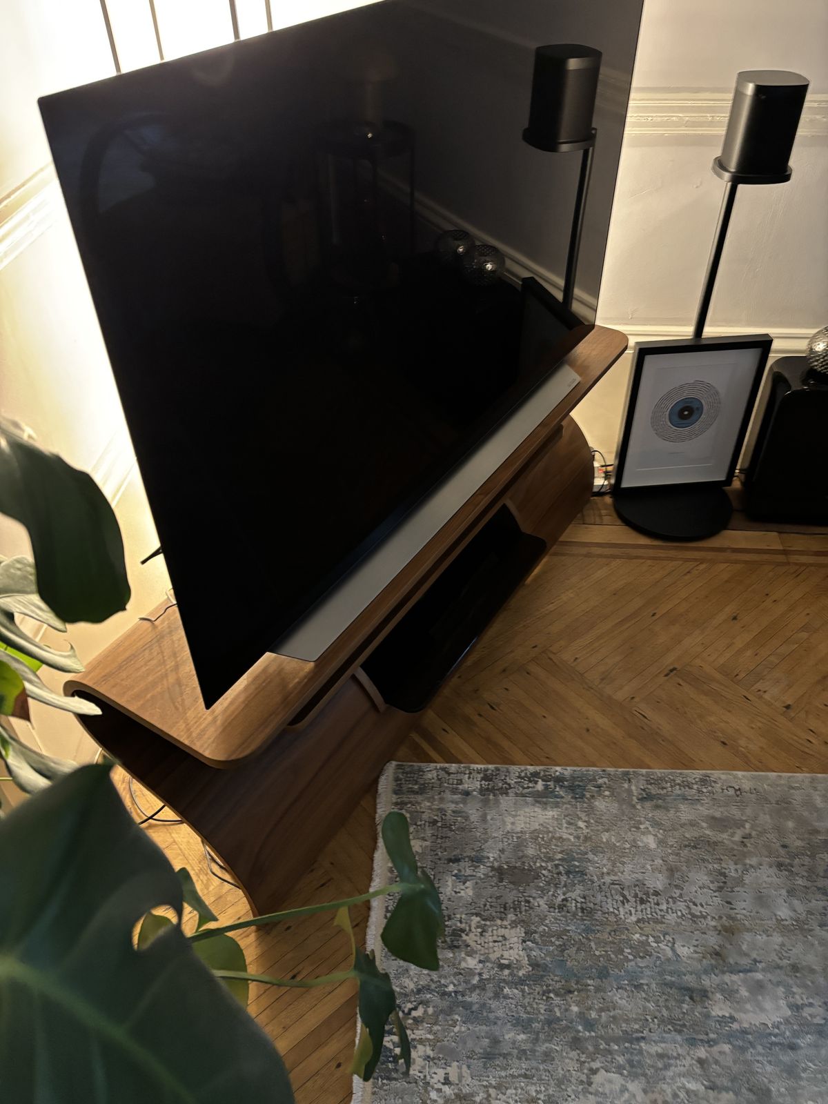 Tom Schneider Surge Media Unit