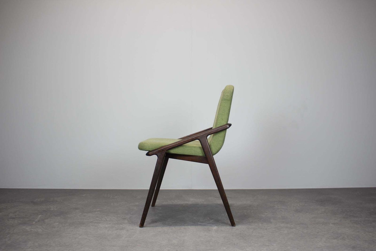 Lolita Dining Chair By Porada, 21st Century photo for sale