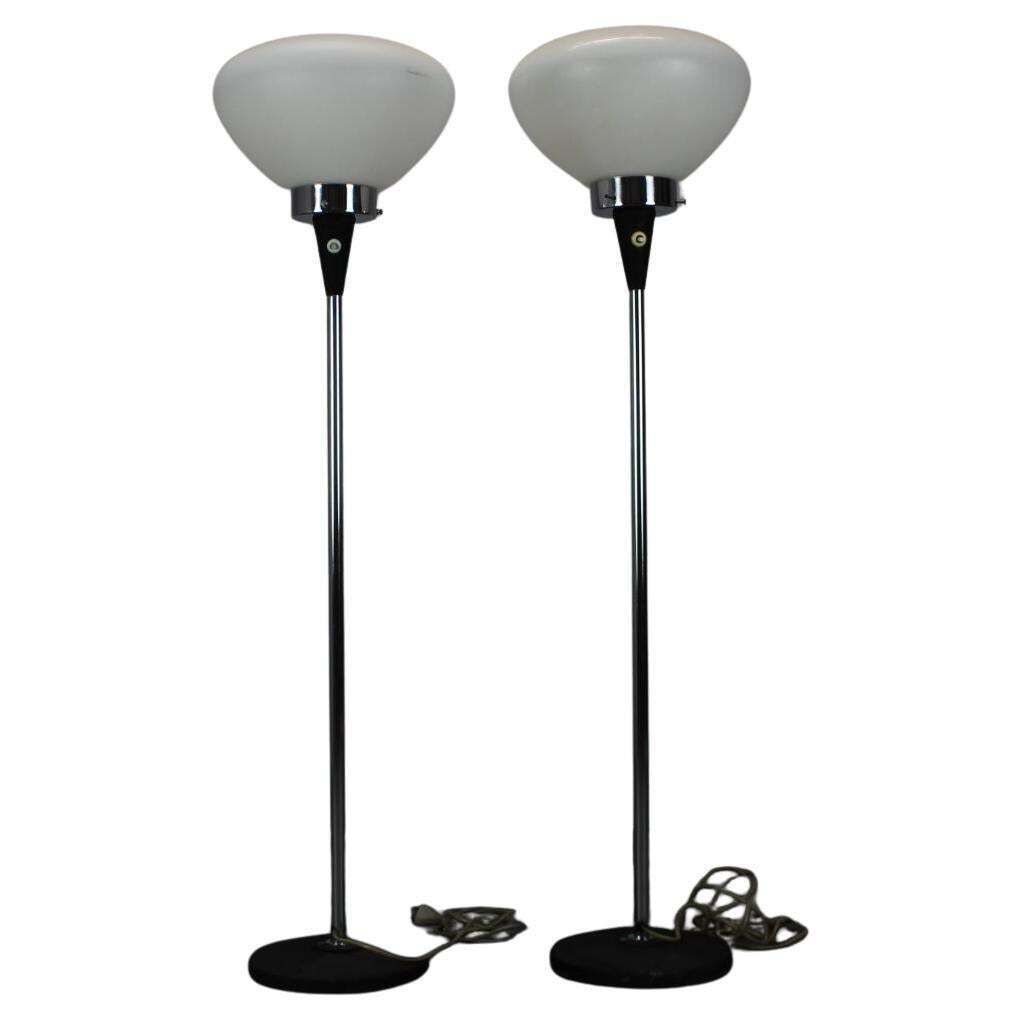 Set Of 2 Mid Century Floor Lamps By J. Bejvl, Czechoslovakia, 1960s