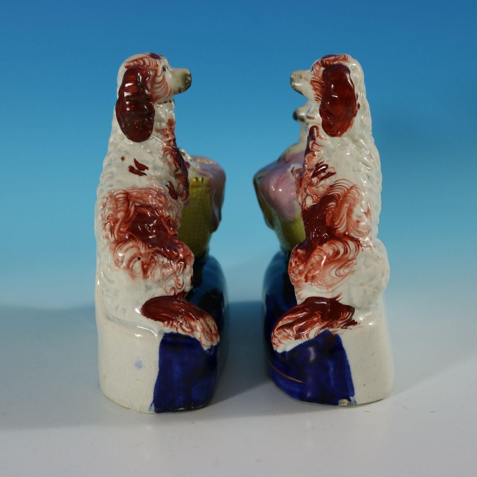 Pair Staffordshire Spaniel And Pups In Wash Baskets photo buy
