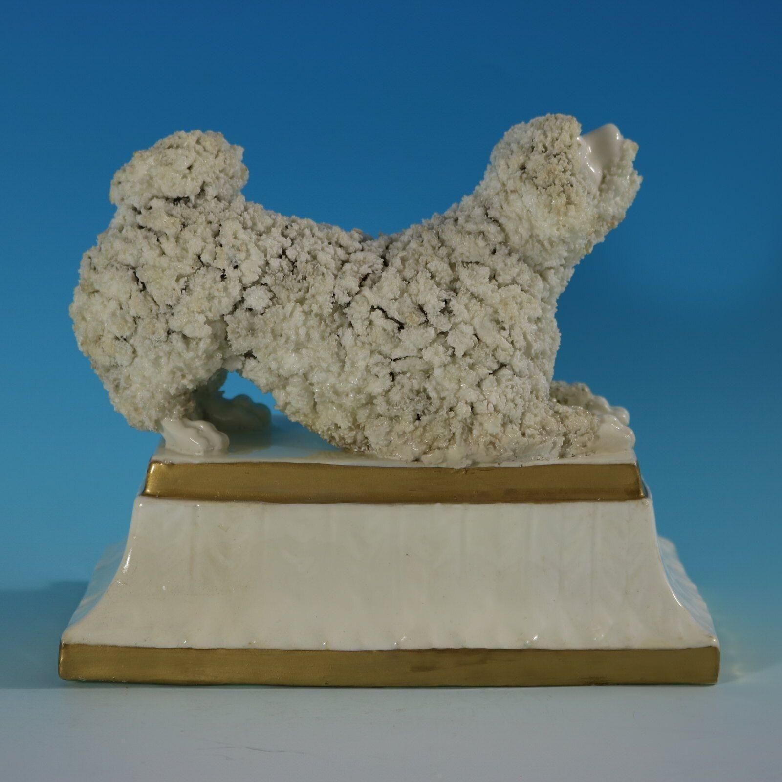 Large Staffordshire Pottery Porcellaneous Poodle photo Art