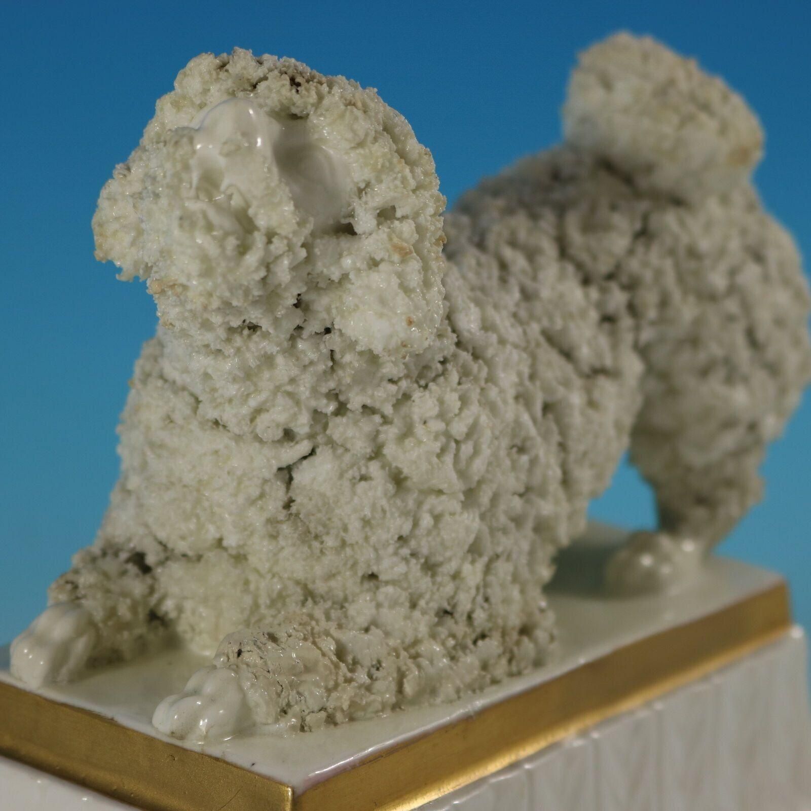 Large Staffordshire Pottery Porcellaneous Poodle photo vintage