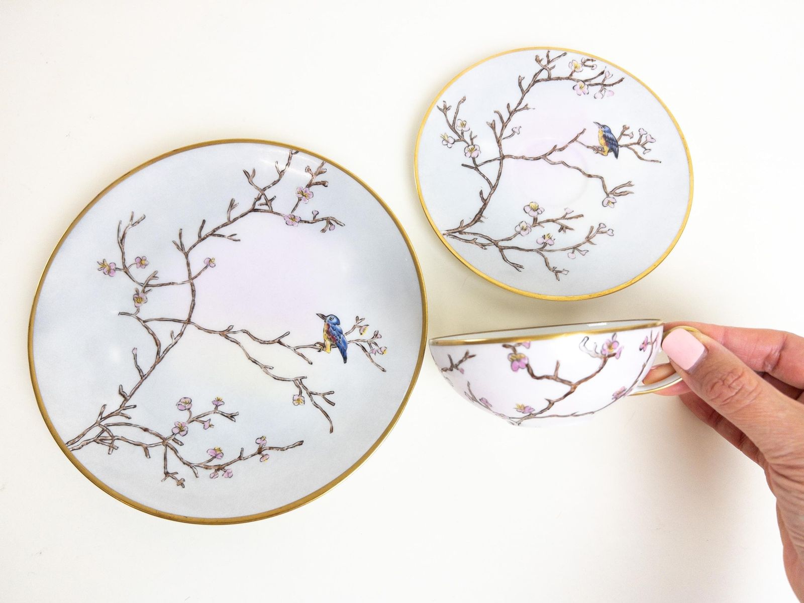 Unique Arzberg Porcelain Teacups, Saucer And Dessert Plates, Set Of 5, 15 Pcs.   Hand Painted Spring Decor   Gold Gilding   Made In Germany photo 167.0