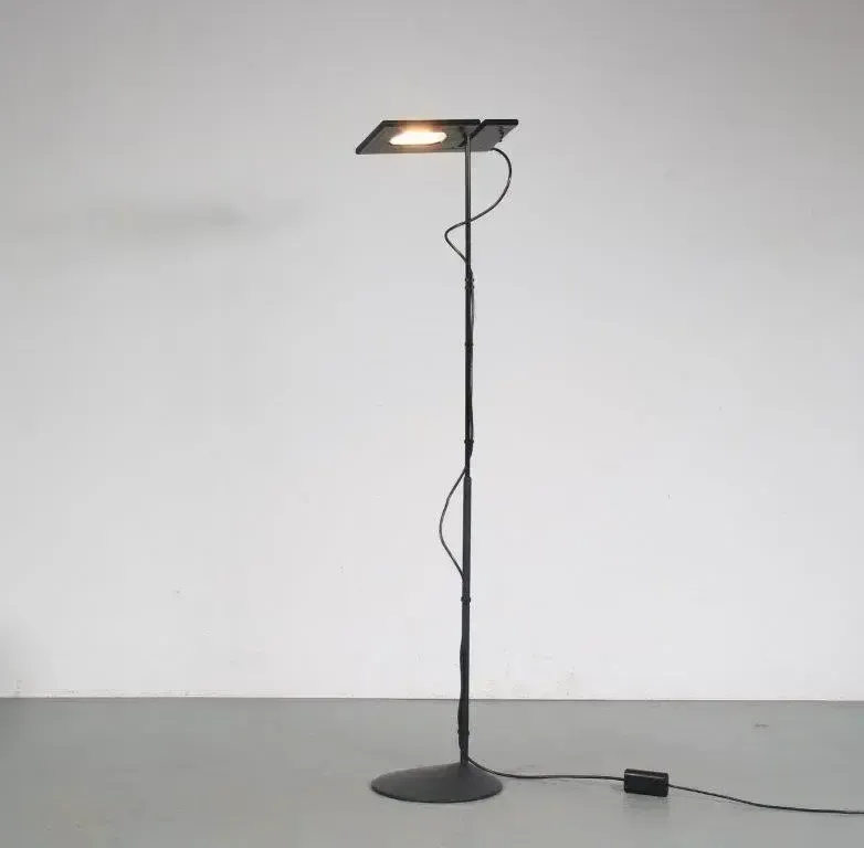 1970s “Duna” Floor Lamp By Marco Colombo & Mario Barbaglia For Paf Studio, Italy photo Lighting