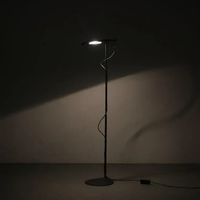 photo for sale 1970s “Duna” Floor Lamp By Marco Colombo & Mario Barbaglia For Paf Studio, Italy