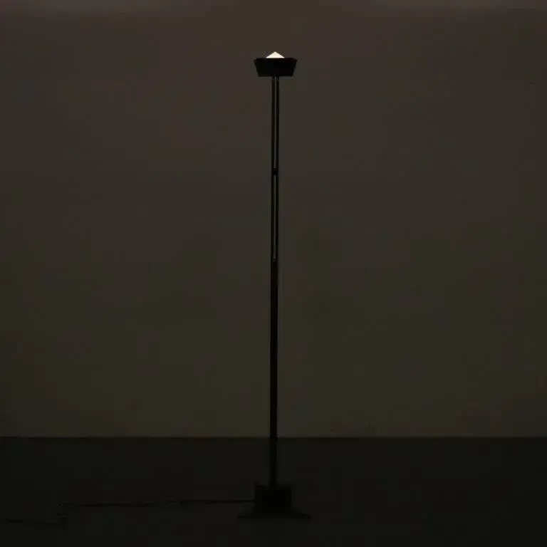 659.0 1980s “Eidos” Floor Lamp By Manlio Brusatin For Sirrah, Italy photo