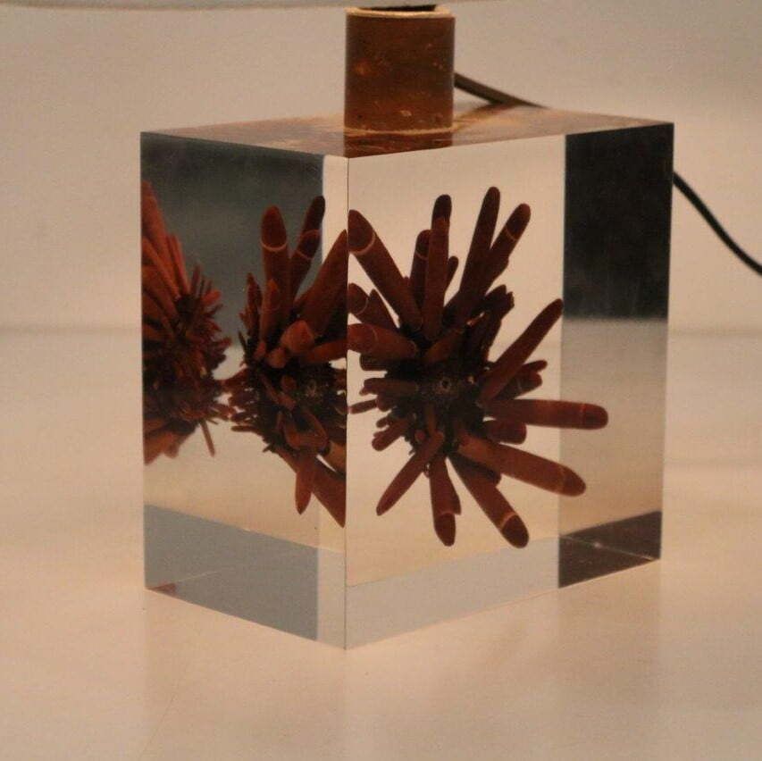 Pierre Giraudon Resin With Coral Table Lamp, France 1970 photo buy