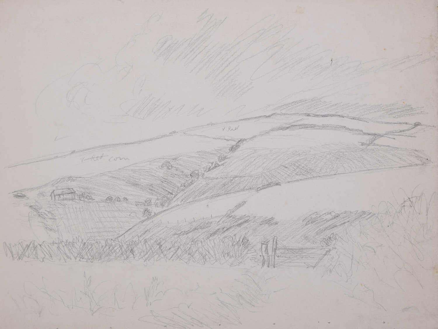 Field View In North Devon, Pencil Sketch By George Bissill