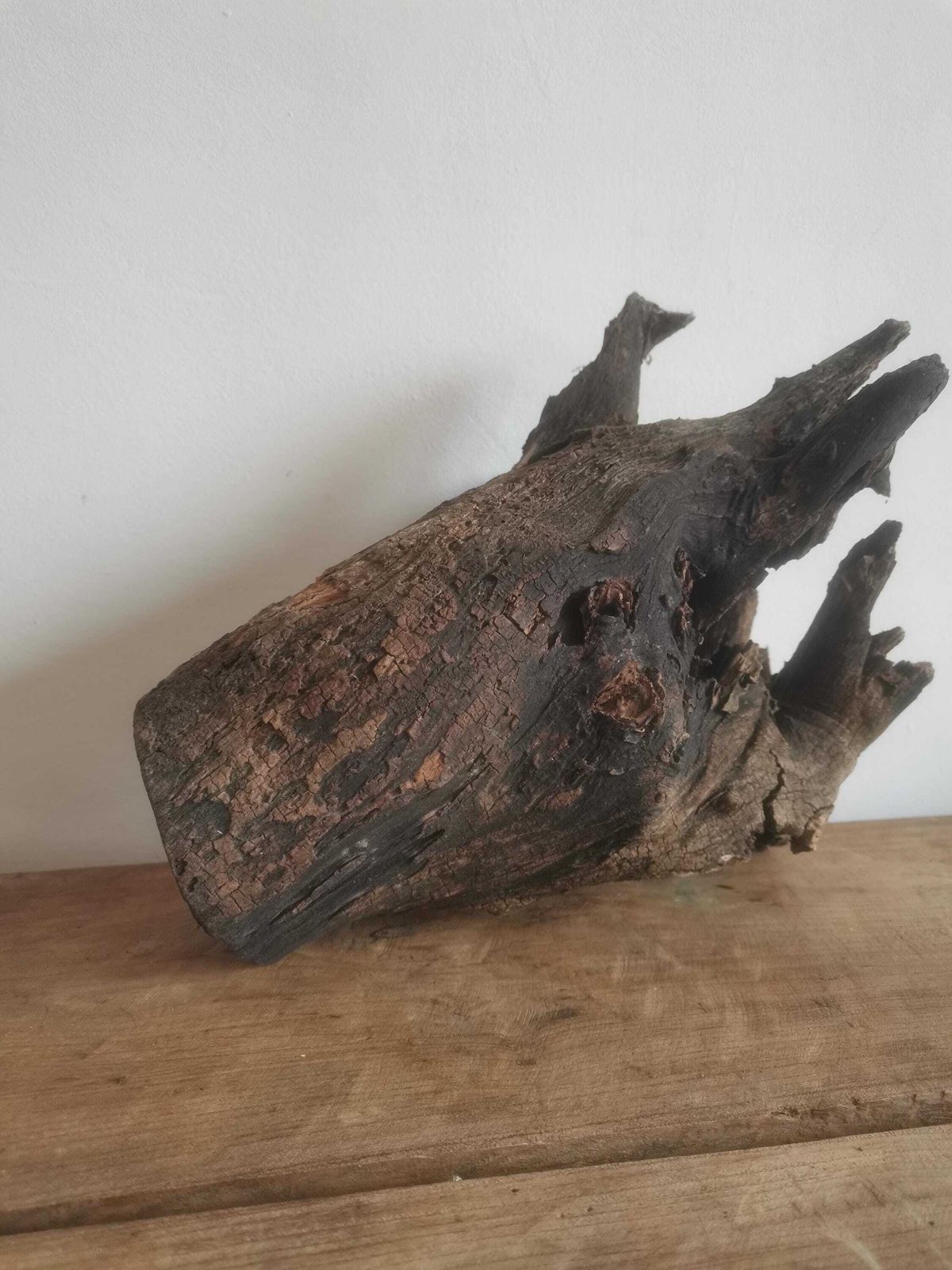 Wildcrafted Oak Driftwood Sculpture Naturally Formed Art From Zselic Starry Skies Forest, Hungary. Aged Wood, Stunning, Cow, Donkey photo buy
