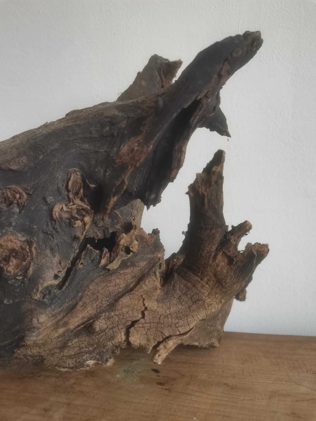 photo furniture Wildcrafted Oak Driftwood Sculpture Naturally Formed Art From Zselic Starry Skies Forest, Hungary. Aged Wood, Stunning, Cow, Donkey