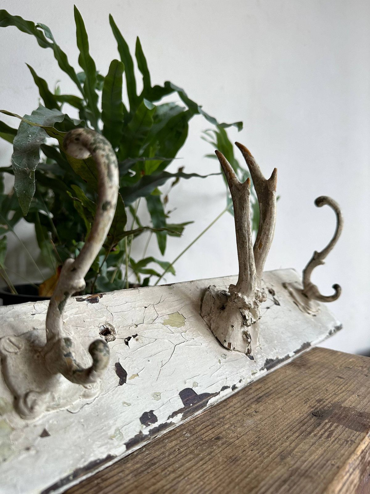 Rustic Antique Coathook Beautiful Hard Wood Mount Baroque Classic Shaped. Unique, Eye Catching, Hats, Scarfs Hallway Decor French Vintage photo for sale