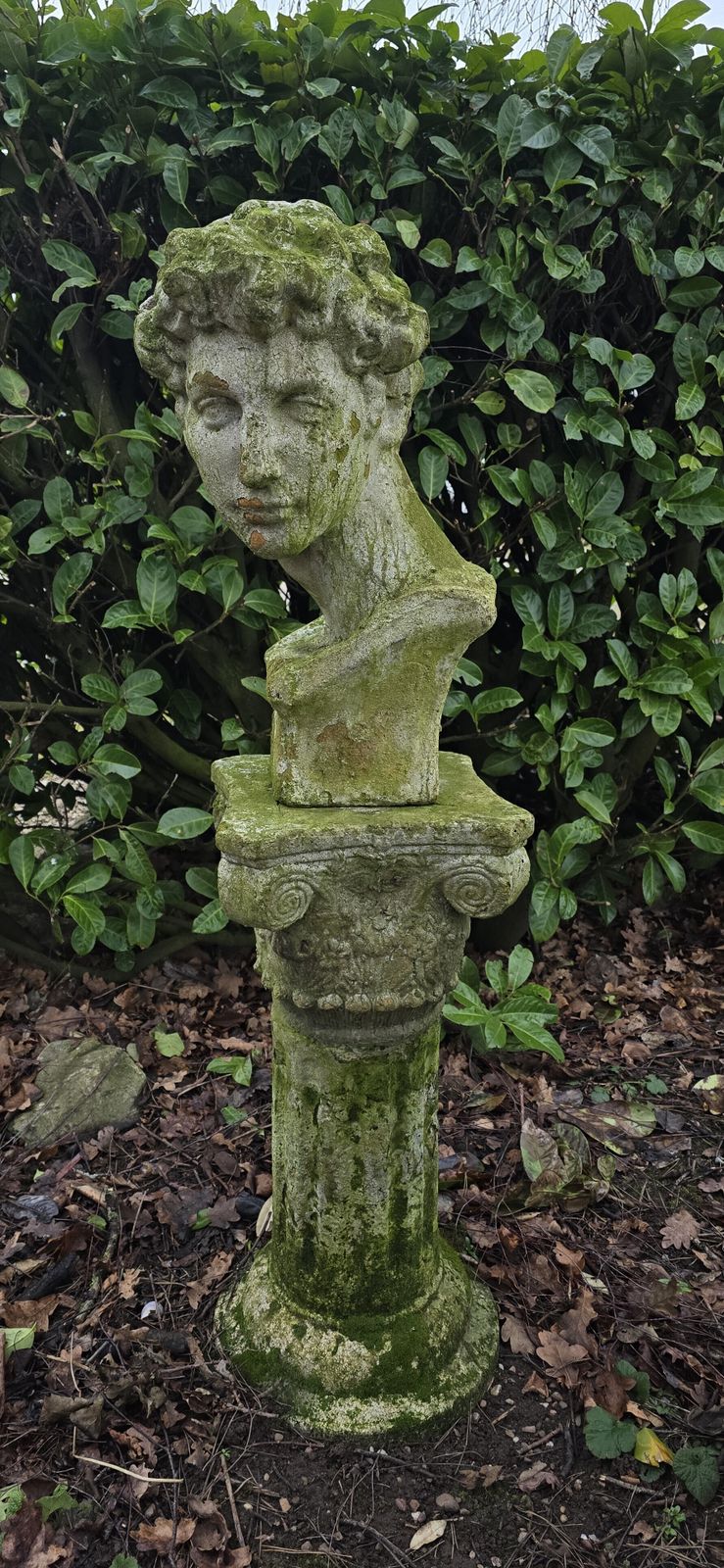 Well Weathered Bust Of David On Plinth photo Garden Decor