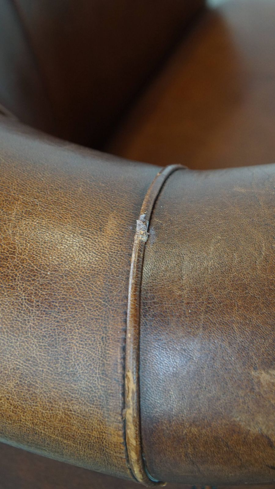 Furniture Sheepskin Club Chair In A Charming Cognac Colour And Finished With Piping On The Backrest photo