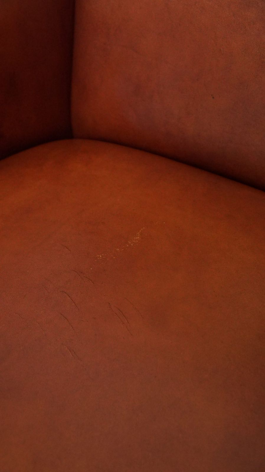 1362.0081 Set Van 2 Art Deco Fauteuils In Cognackleurig Koeienleer photo