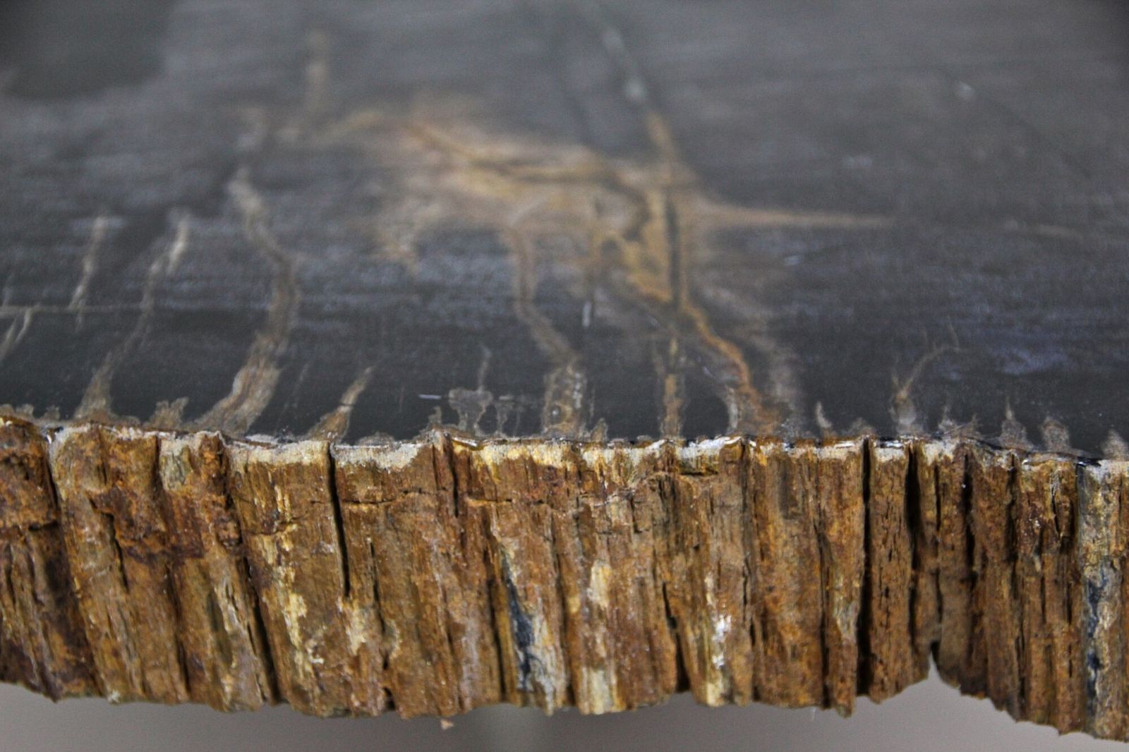 Petrified Wood Side Table With Stainless Steel Feet, Organic Modern, Idn 2021 photo 1850.0