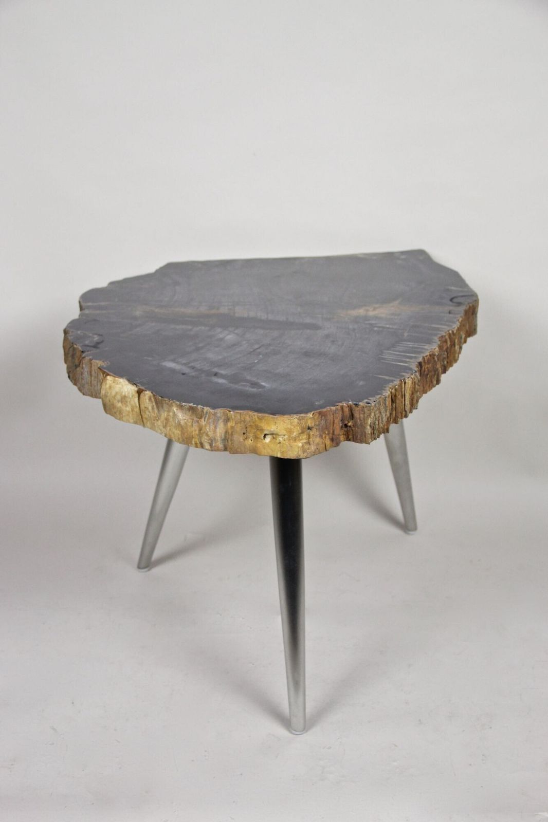 Petrified Wood Side Table With Stainless Steel Feet, Organic Modern, Idn 2021 photo vinterior