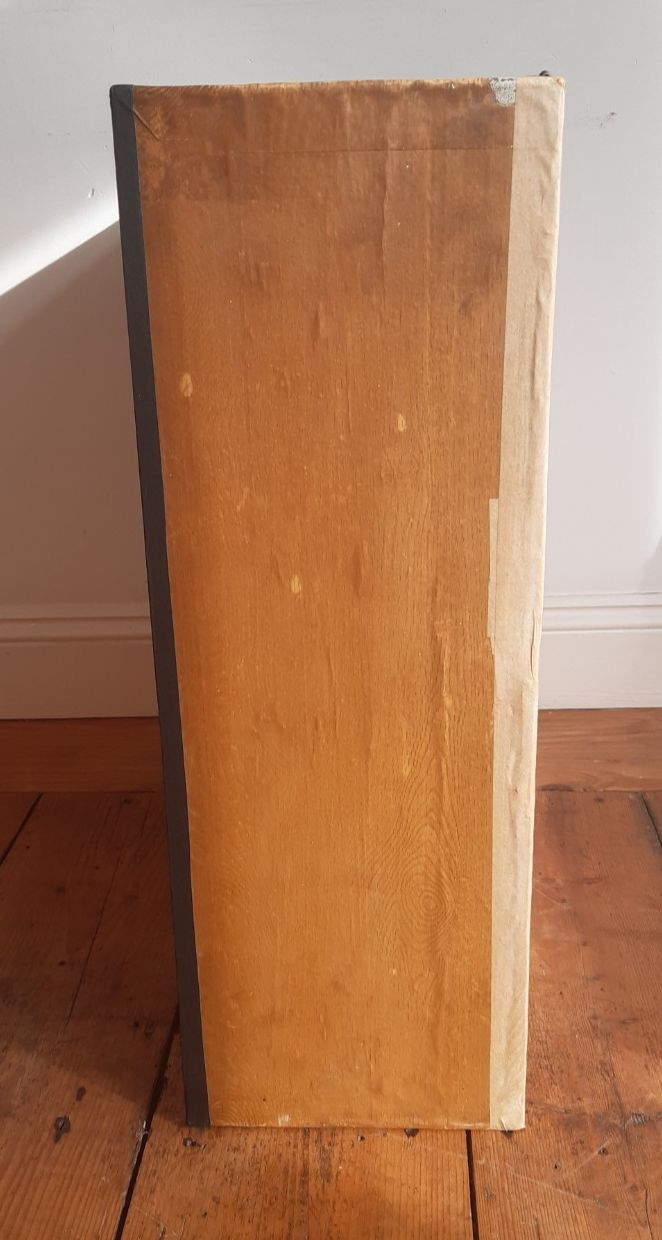 Antique Great Black Backed Gull Cornish Cased Large Magnificent Specimen Labels photo 410.0