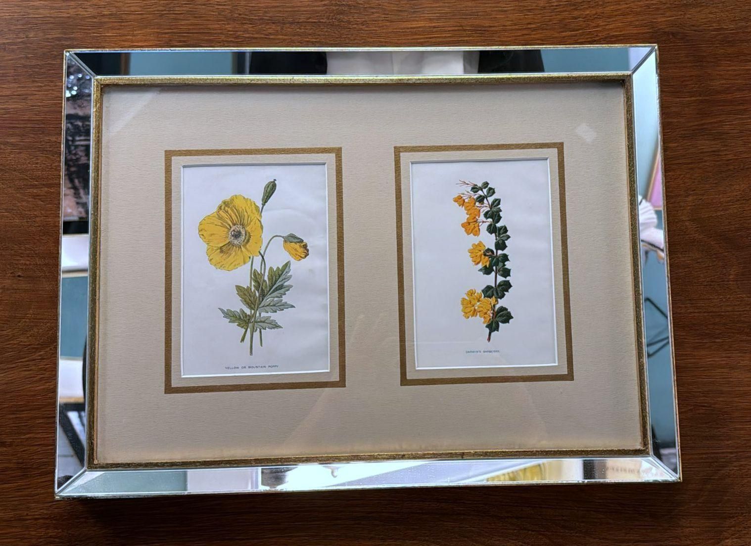 Italian Frame With Mirrors And English Chromolithographic Prints Of Flowers   05 photo furniture