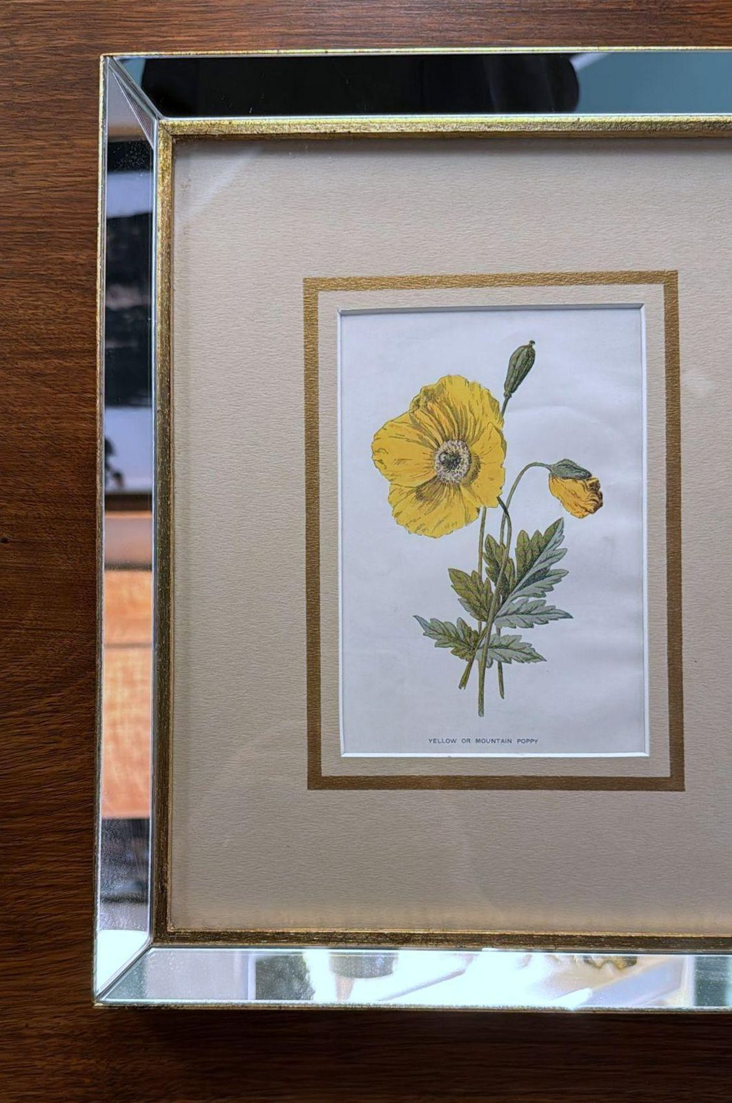Italian Frame With Mirrors And English Chromolithographic Prints Of Flowers   05 photo Art