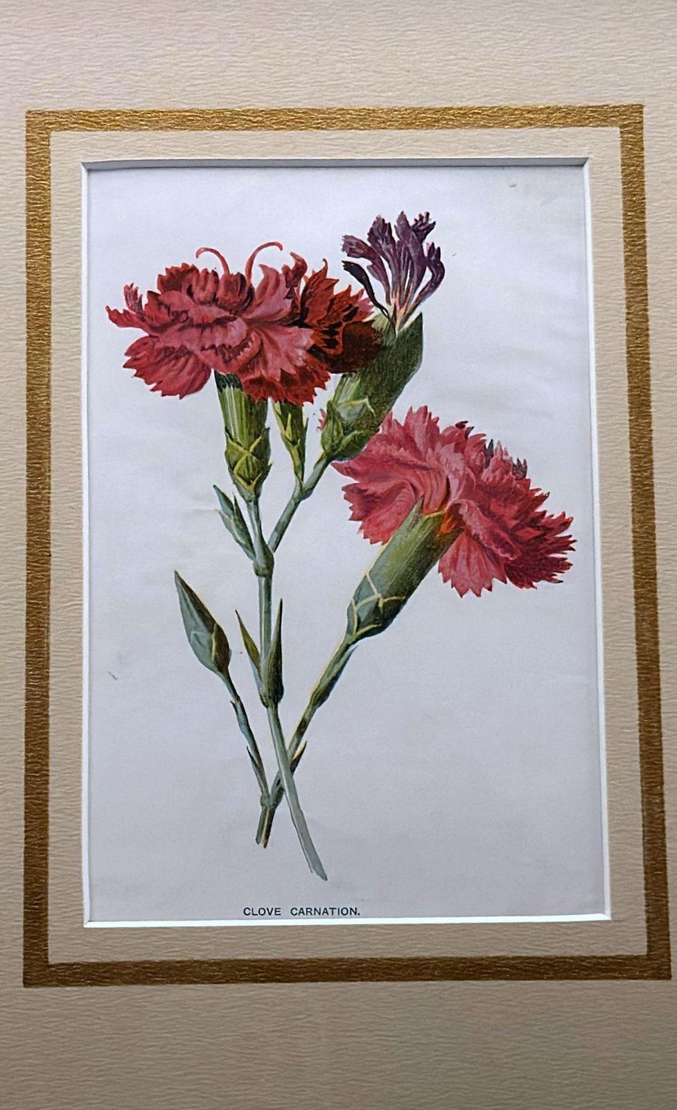 Italian Mirror Frame With English Chromolithographic Floral Prints   04 photo vinterior