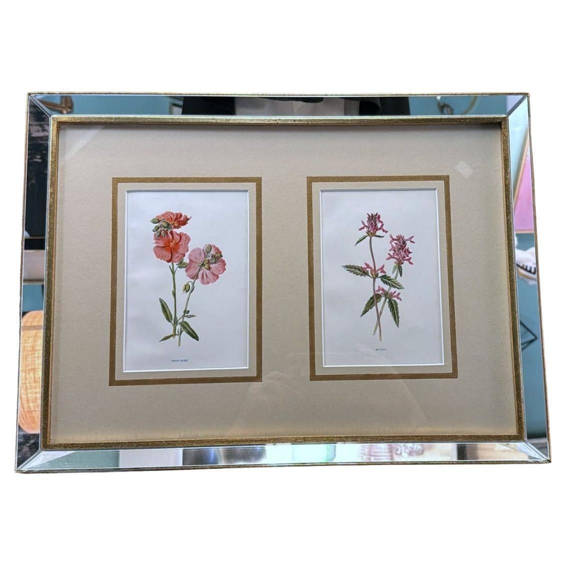 Italian Mirror Frame With English Chromolithographic Floral Prints   03