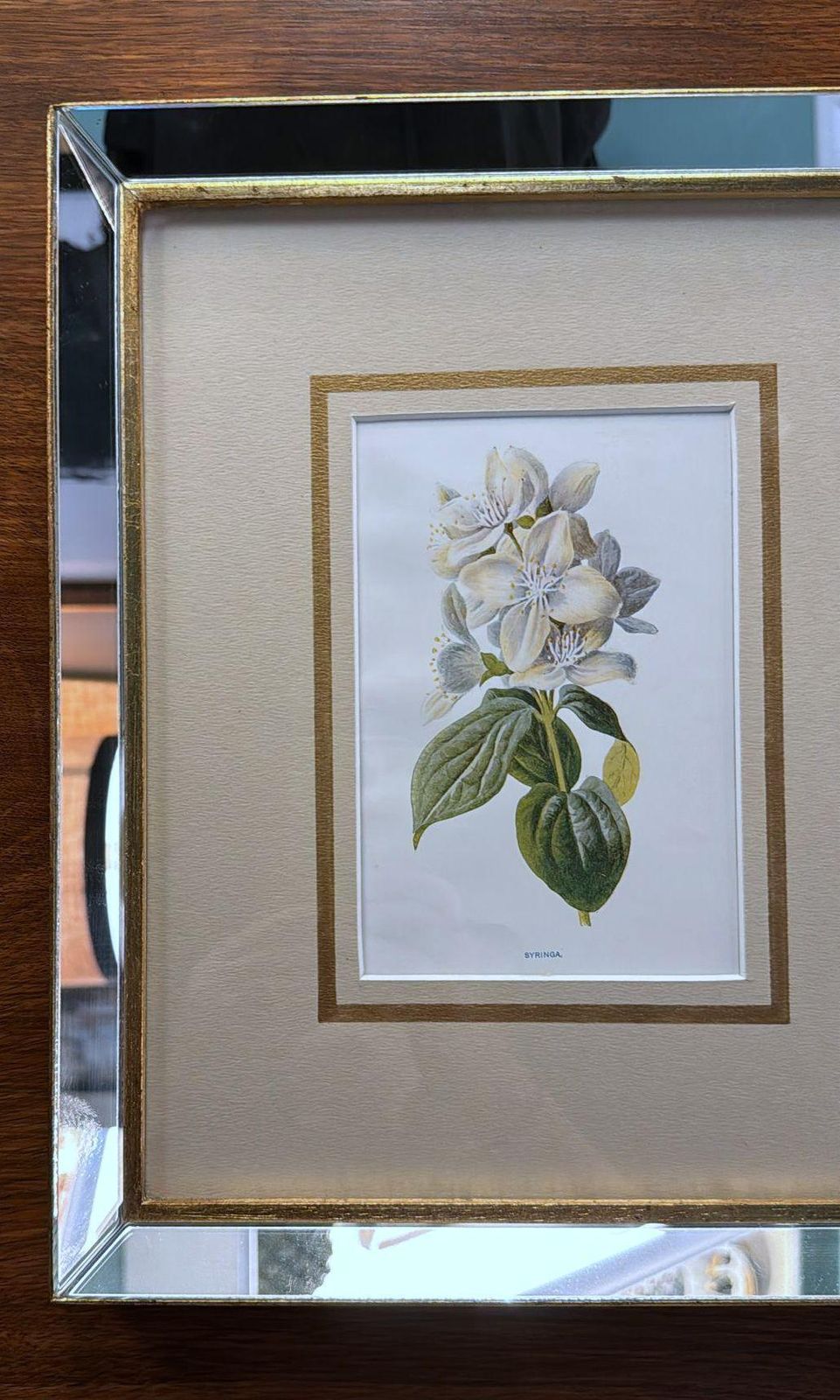 Italian Mirror Frame With English Chromolithographic Floral Prints   01 photo Art