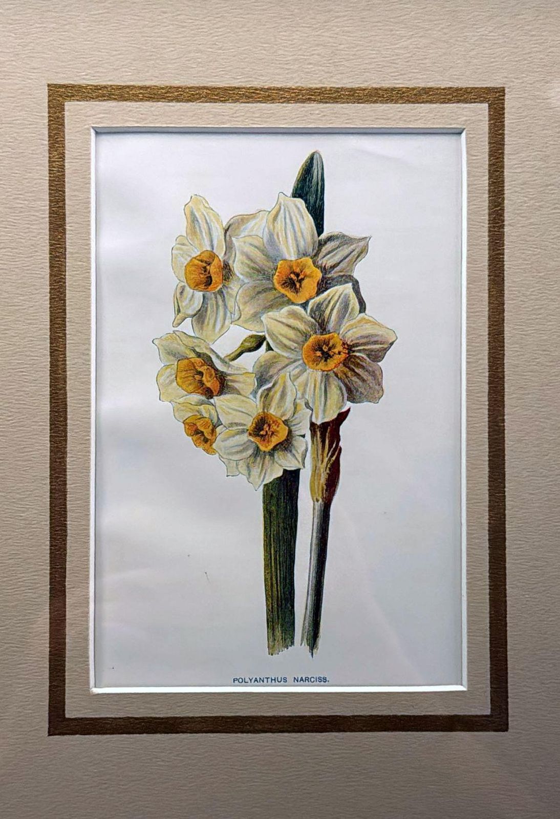 Italian Mirror Frame With English Chromolithographic Floral Prints   01 photo vintage