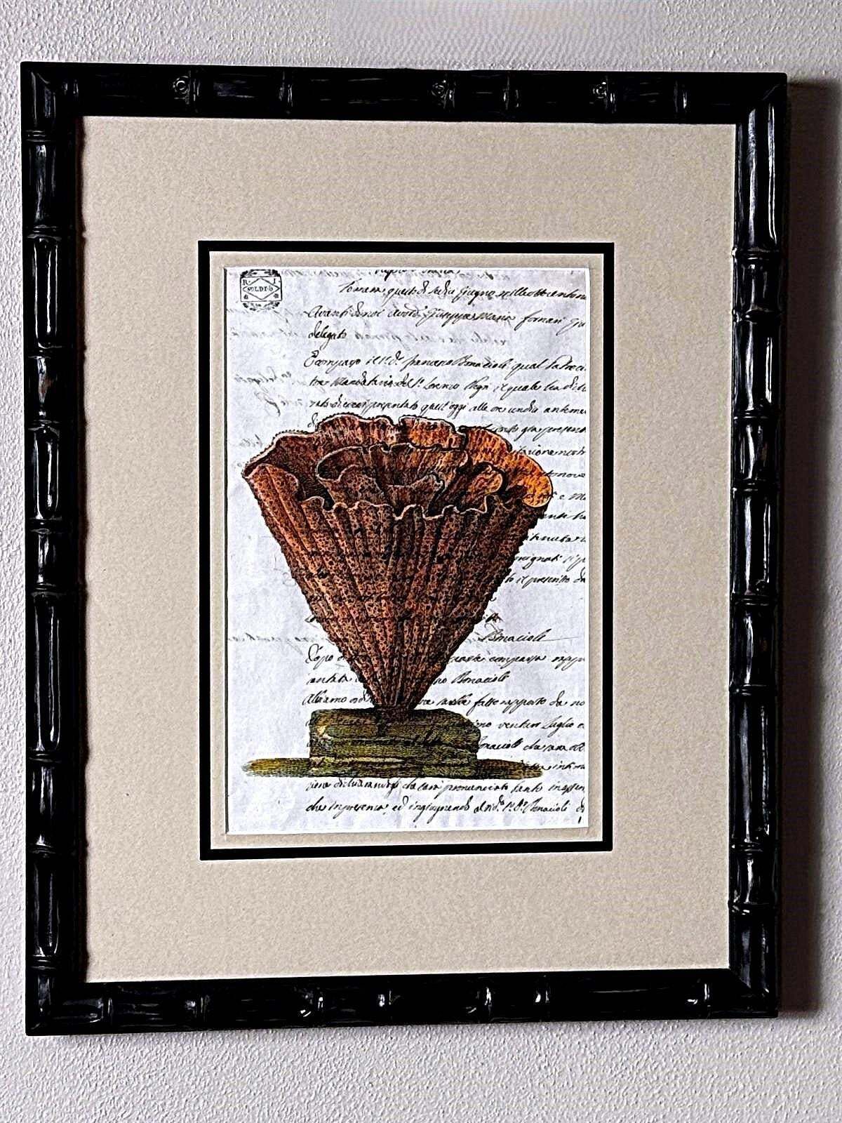 Art Pair “Faux Bamboo” Frames With Old Italian Shell Prints With Overwritten Text. photo