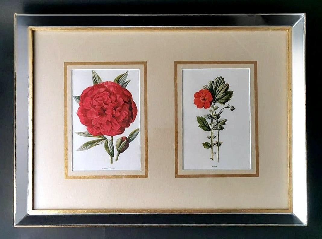 Italian Mirror Frame With English Chromolithographic Floral Prints  06 photo furniture