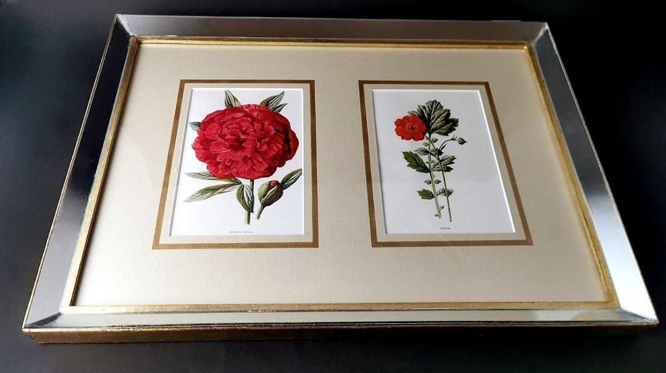 Italian Mirror Frame With English Chromolithographic Floral Prints  06 photo Art