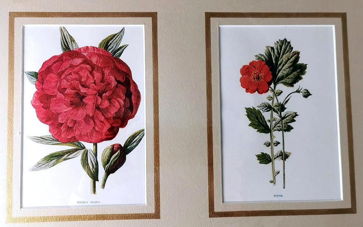 Italian Mirror Frame With English Chromolithographic Floral Prints  06 photo buy