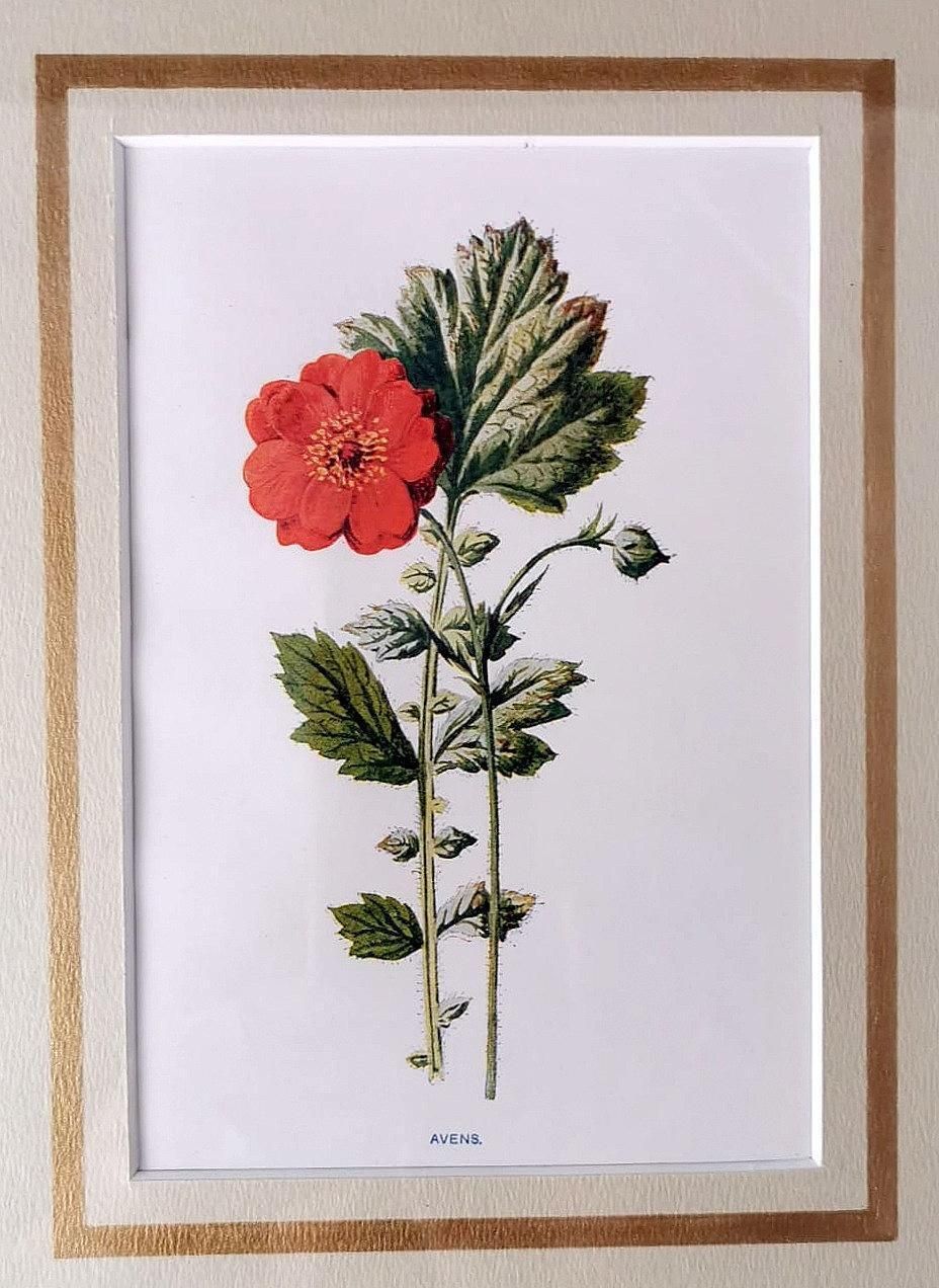 photo for sale Italian Mirror Frame With English Chromolithographic Floral Prints  06