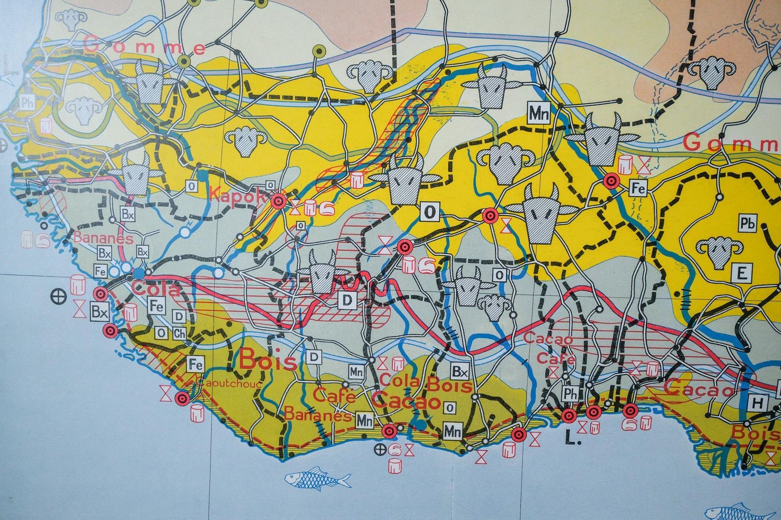 Original 1950s Large Vintage Mid Century Double Sided French Educational School Wall Chart Africa Continent Map Rare Vidal Lablache photo vintage