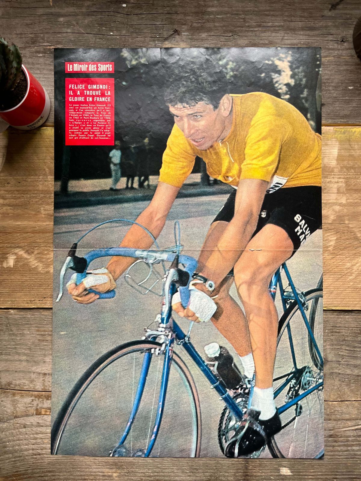 Felice Gimondi Vintage Cycling Poster   1966 photo furniture