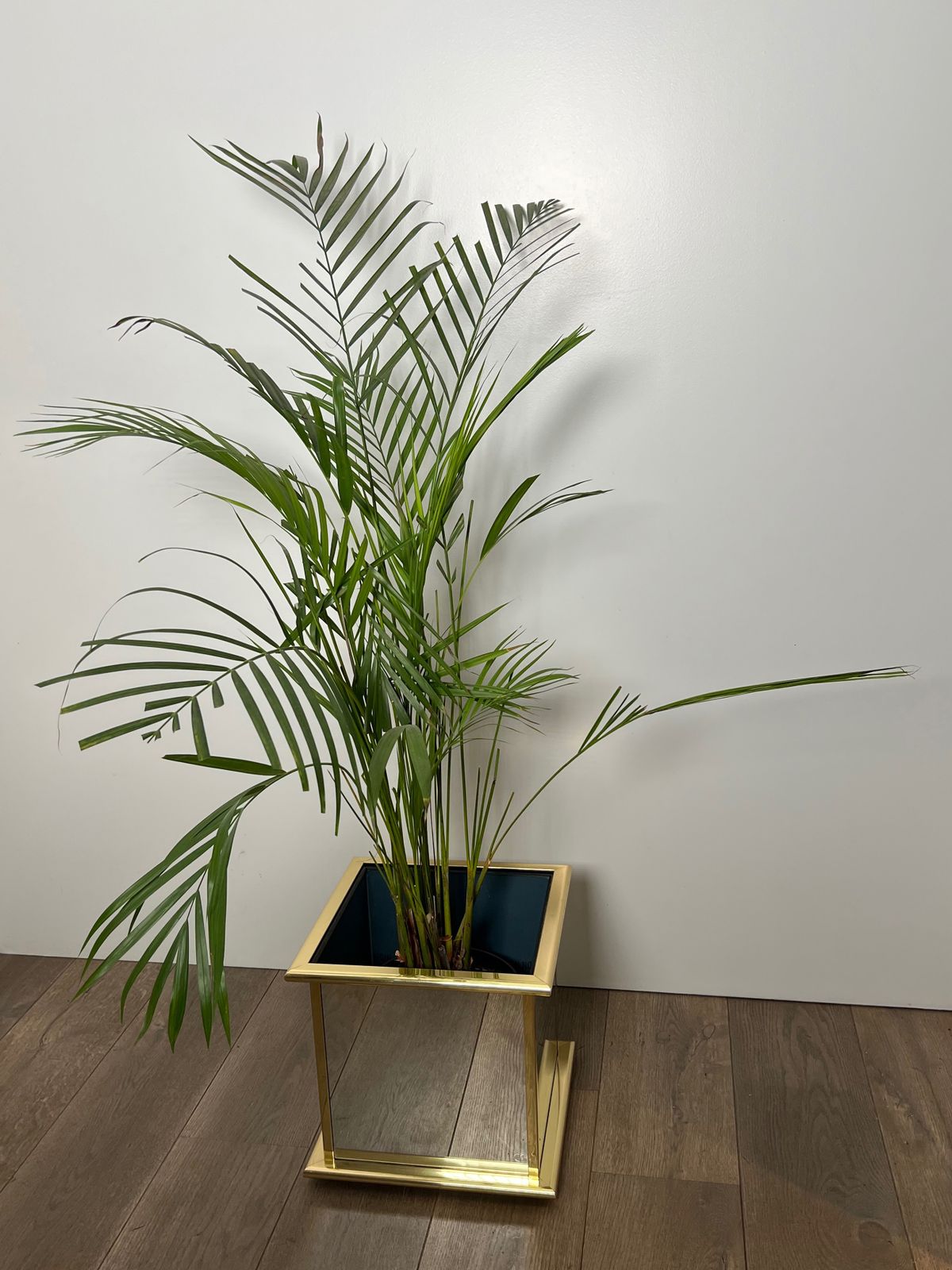 Mirrored And Gold Metal Planter photo furniture