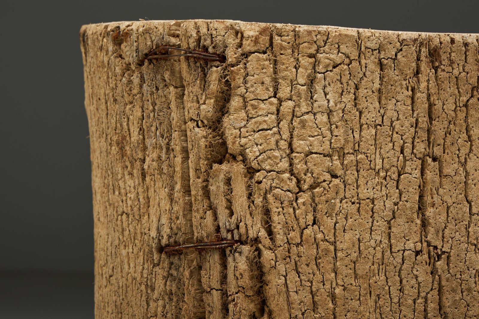Artisanal Tree Trunk Planter, France, 19th Century photo vinterior