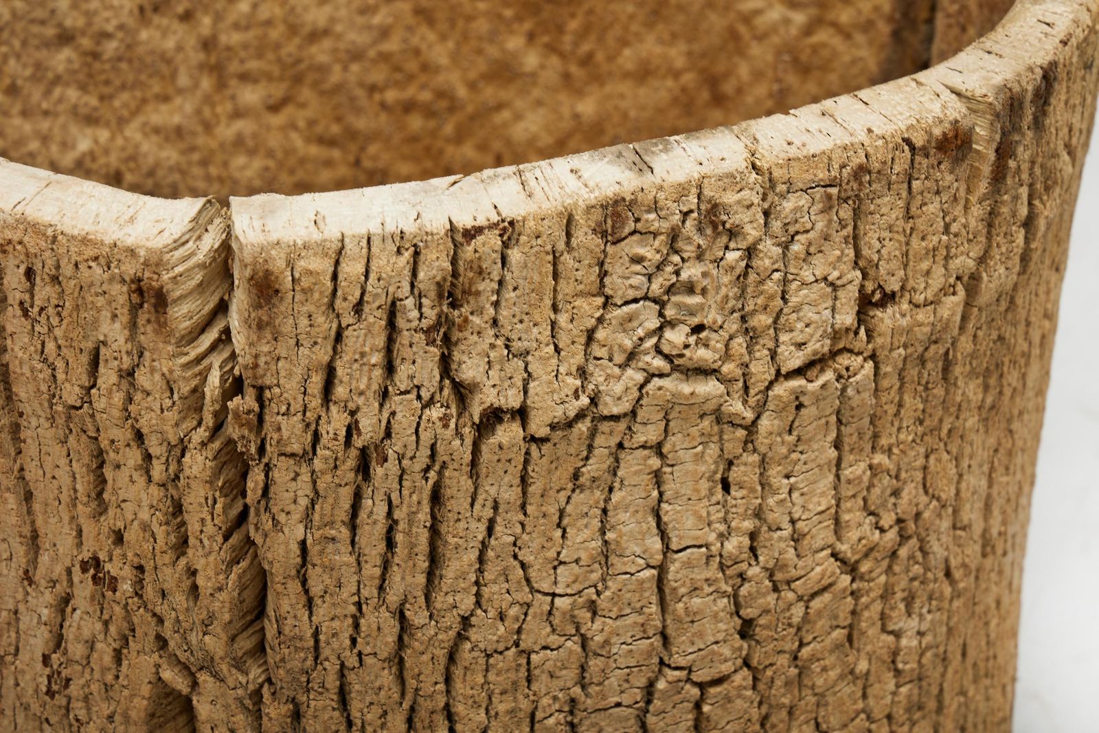 photo for sale Artisanal Tree Trunk Planter, France, 19th Century