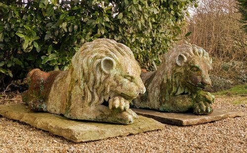photo for sale Fabulous Pair Of Italian Terracotta Garden Lions