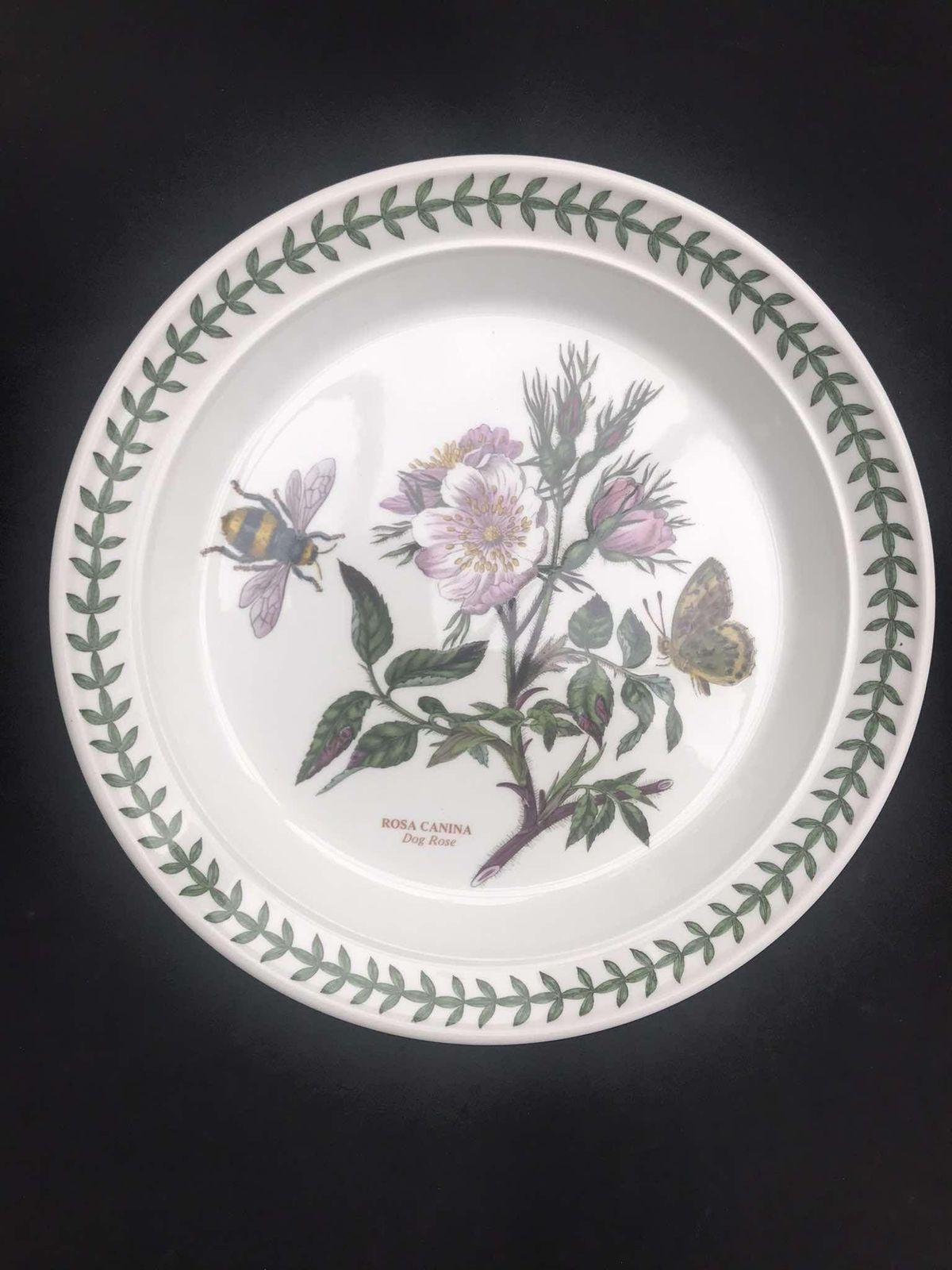 photo for sale Portmeirion Botanica Salad Plate 70s Botanic Garden Entremets Dessert Plate Rosa Canina Dog Rose Made In England China Replacement Spare