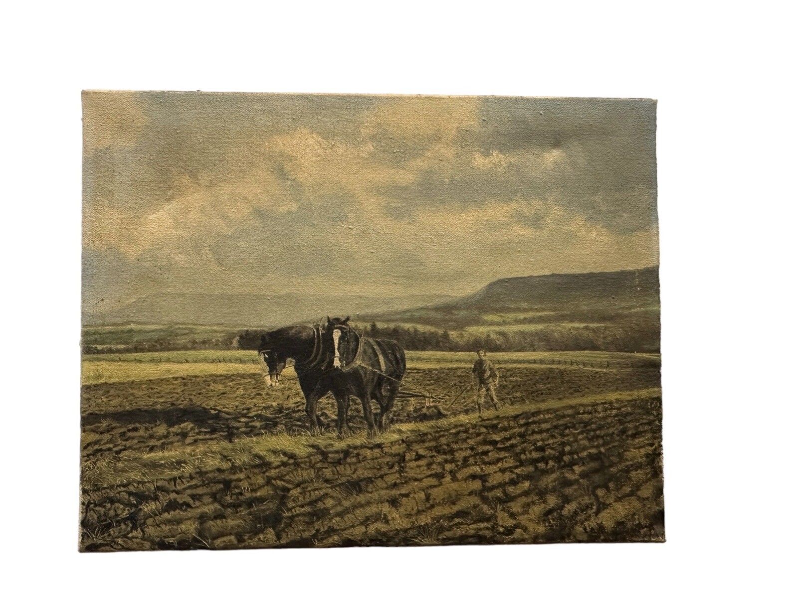 Peter Oliver (1927 2006) Oil On Canvas Signed Original Ploughing The Field photo for sale