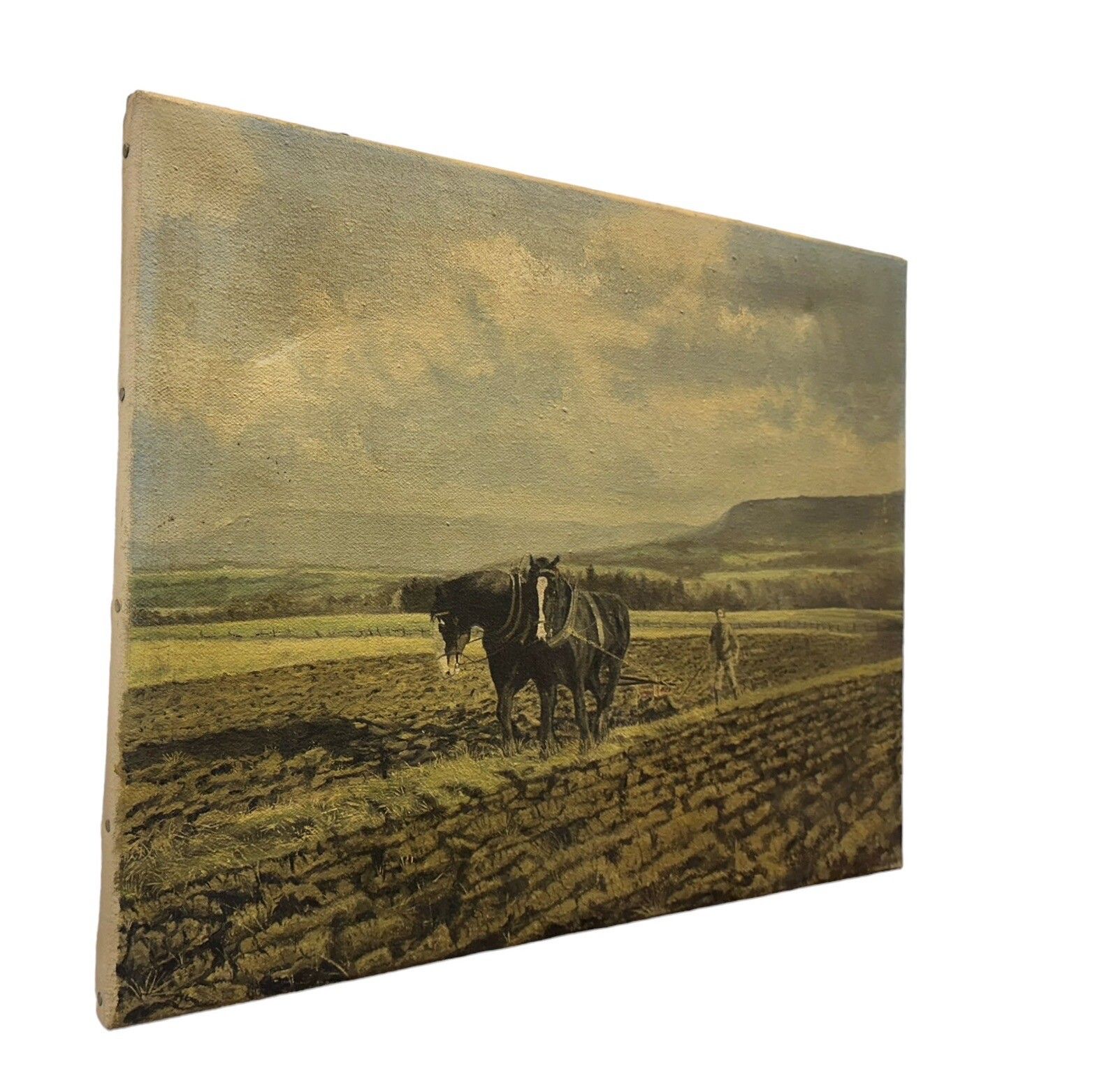 Peter Oliver (1927 2006) Oil On Canvas Signed Original Ploughing The Field photo Art