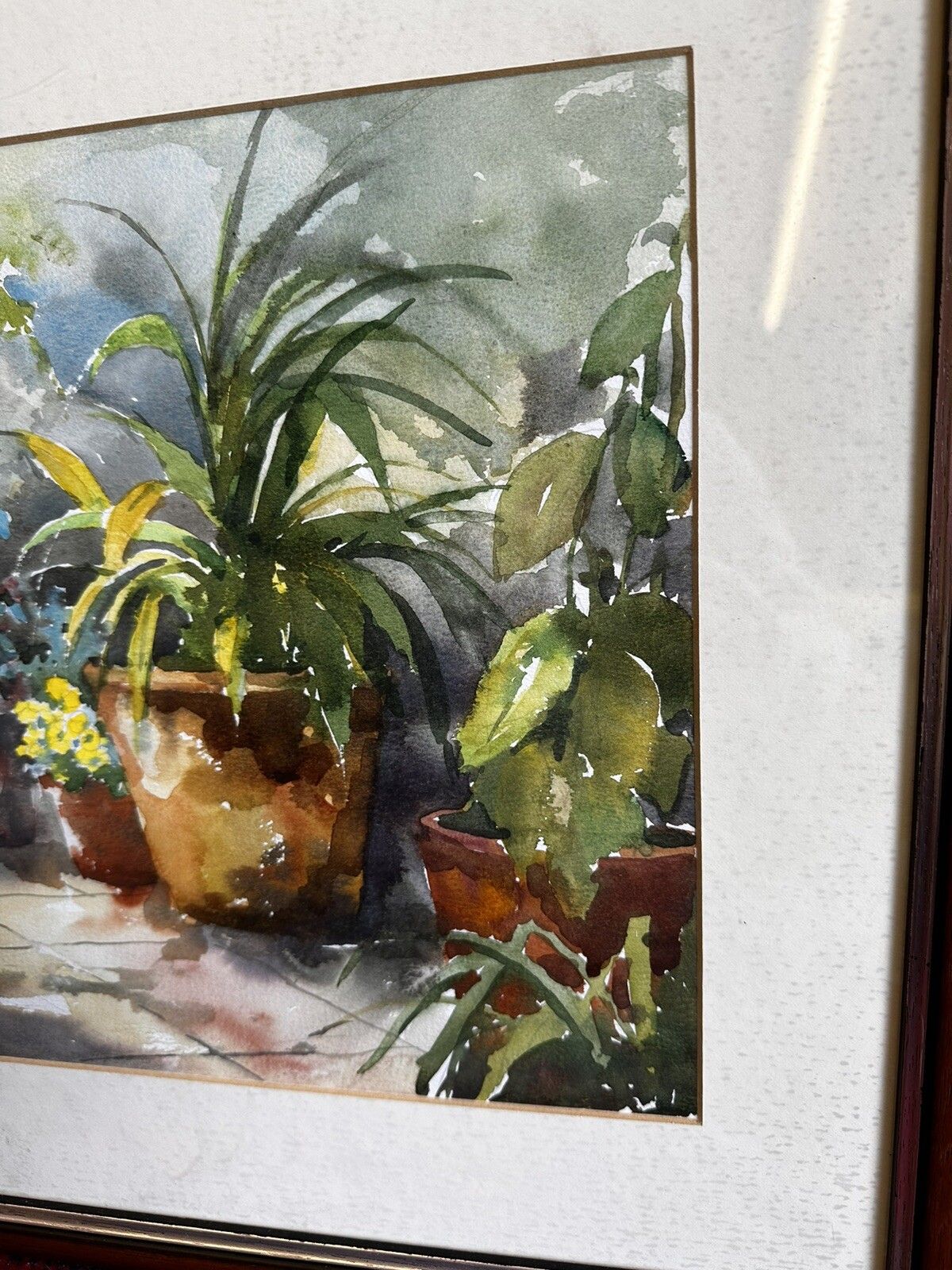 Original Ann Dangerfield Watercolour Botanical. “Pot Plants” 21”X17 photo for sale