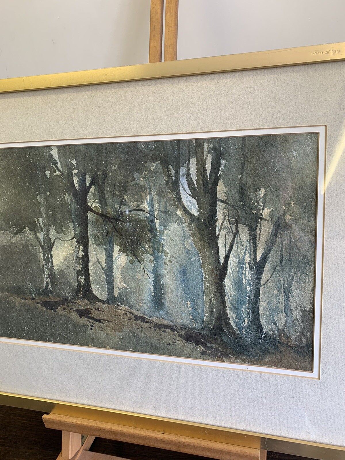 Original Vintage Watercolour Painting Framed /Glazed Sussex Woods photo for sale
