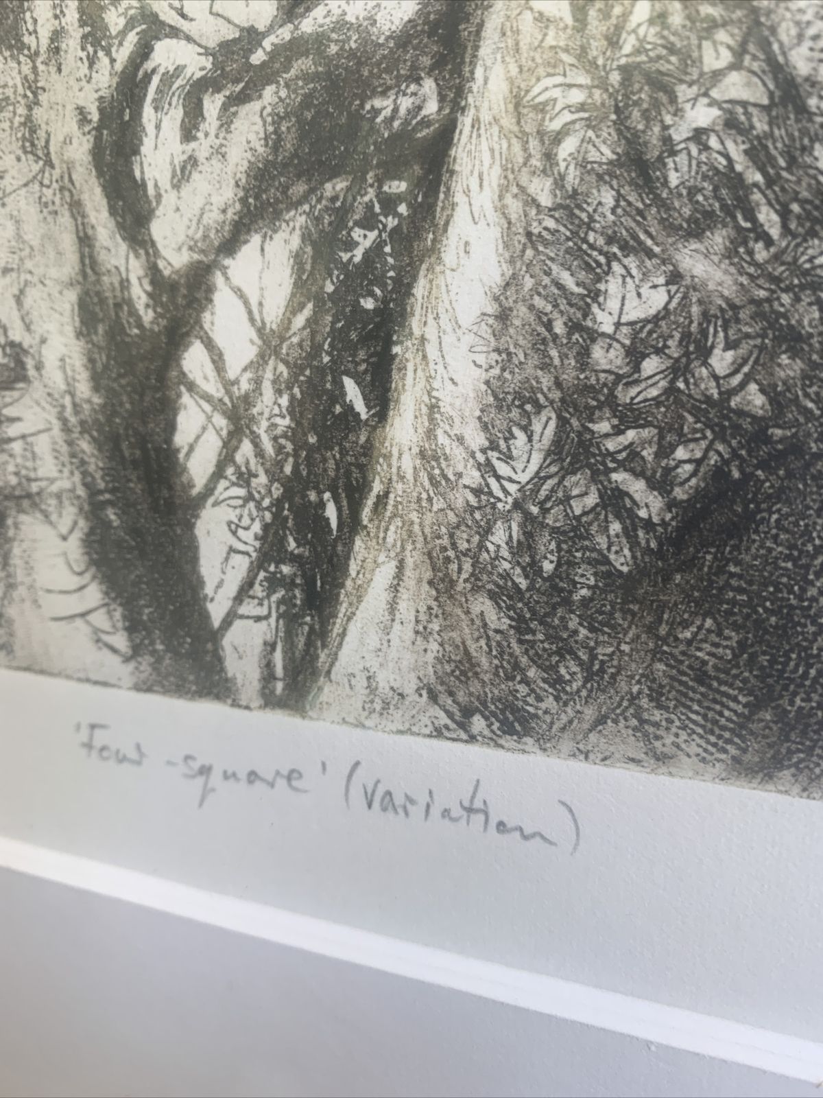 Original Artist Proof Susan Steele Etching And Aquatint Signed And Framed photo Art