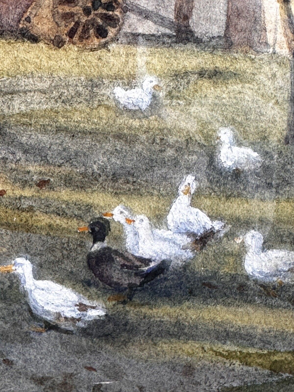 19th Century Painting Farm Duck Scene Signed By Artist Framed And Glazed photo 65.0